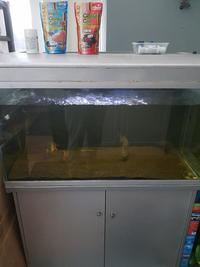 Moving house must go Full 4ft aquarium setup £1 (sensible offers)