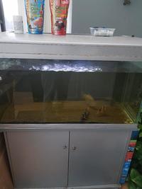 Moving house must go Full 4ft aquarium setup £1 (sensible offers)