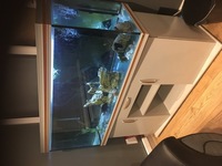 5 foot Rena aquarium for sale