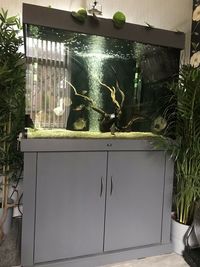ND custom built 42x30x30 ...620 litre tank and stand