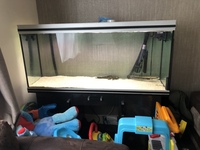 Rena 450