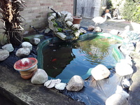 Garden Pond + Pump etc For Sale