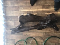 Big piece of wood 2.5ft to 3ft