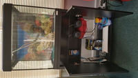 Fish Tank and Cabinet