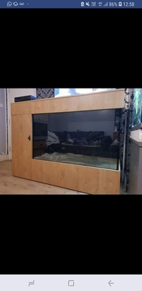 Custom made aquarium £400