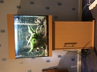 Juwel lido 120 planted aquarium