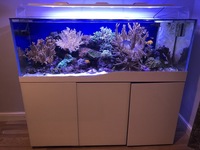 Cleair Aquarium for sale marine set up with all stock inc