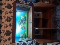 350 litre aquarium and cabinet