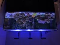 Red Sea Reefer 450 full set-up