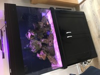 Aqua reef 300 complete setup