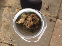 Reduced for sale before 07/04/19 - 40KG of Live Rock