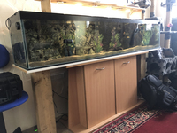 Complete 6ft tank setup