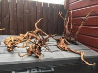 Red Moor Root Wood - Various pieces available from small to large centre pieces
