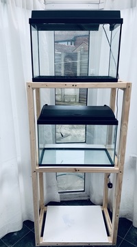 2 x 2ft fish tanks and rack ideal for breeding