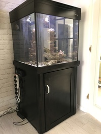 Aqua one 275ltr marine reef tank complete setup