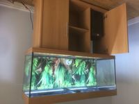 Juwel Rio 240 Aquarium with Cabinet and LED Lighting