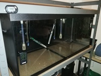 Juwel 180 Aquarium £110