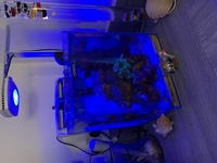 Nano tank and Ai prime for sale