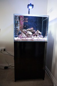 Aqua One Mini Reef 120 Marine Set Up with AI Prime hd wi-fi lighting £375