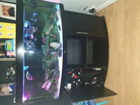 Jewel Vision 450l full setup including fish (haps and peacock cichlids) £350