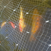 2 large koi and 3 large goldfish for sale