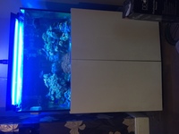 300 Liter Braceless, optiwhite glass marine stand and tank with sump. Complete set up