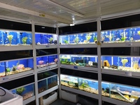 Community fish list