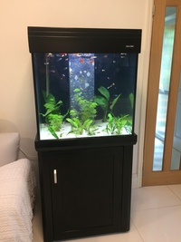 Aqua one reef cube black gloss tank fully set up reduced for quick sale