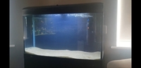 3ft aqua one 900 fishtank and extras