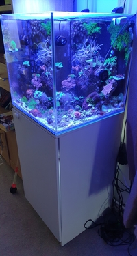 Aquaone nano 90 mini reef, £220.