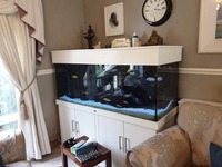 ND 5x2x2 full malawi tank set up£ 300 sold