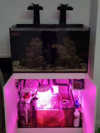 Red Sea Reefer 250 - full set up (dry)