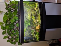 Aquarium for sale £180