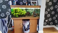 Fish tanks with stands Marine and Freshwater setups with stock