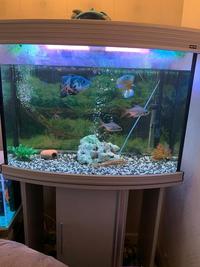 Aqua one silver approx 200 ltr aquarium with aqua 1050 external filter and fish