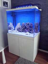 N d aquatics custom white set up for sale £300