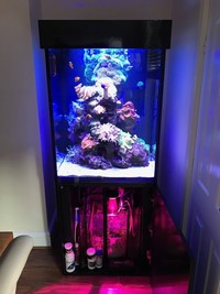 Marine Aquarium