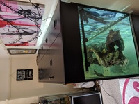 Large Aquarium for sale