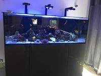 Marine Aquarium - EA Reef Pro 1800 - Ultra Glass Metallic Antracite