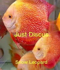 Buy 5 get 1 free at JUST DISCUS from ONLY £20 and over 5,000 top quality Discus to choose from and the biggest selection in the U.K. Cheapest prices guaranteed.