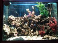 Used Marine aquarium