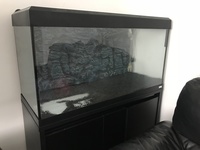Fluval Roma 200 aquarium fish tank cabinet filters and light fancy goldfish