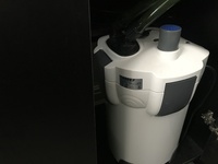 Fluval Roma 200 aquarium fish tank cabinet filters and light fancy goldfish