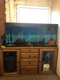 Jewel Fish tank 4ft wide with cabinet & various tropical fish & loads of extras
