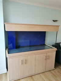 Clear-Seal 5x2x2 marine aquarium, 550 litres