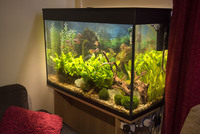Aquarium and full set-up 100 x 68 x 40cm
