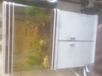 140litre white tank-everything included
