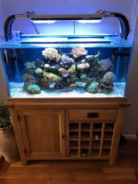Full marine aquarium setup for sale