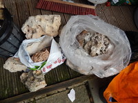 ocean rock 1big bucket full + 2 bags + 9 pieces of slat for free + another 5 ocean rocks one huge just added but not shown in picture/so a bargain.