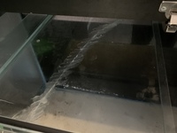 Fish tank